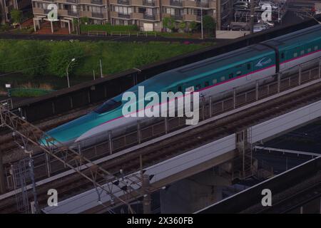 Shinkansen (treno proiettile) nella prefettura di Saitama, Giappone Foto Stock