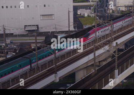 Shinkansen (treno proiettile) nella prefettura di Saitama, Giappone Foto Stock