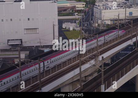 Shinkansen (treno proiettile) nella prefettura di Saitama, Giappone Foto Stock