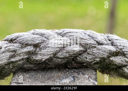 Una corda è avvolta intorno a una pietra ed è ricoperta di ghiaccio. La fune è attorcigliata e annodata ed è vecchia e usurata Foto Stock