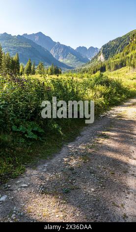 Valle della dolina di Javorova con vette sopra i monti Tatra in Slovacchia durante la mattina estiva con cielo limpido Foto Stock