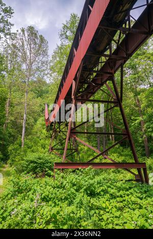 Nuttallburg Coal Conveyor and Tpple presso il New River Gorge National Park in West Virginia, USA Foto Stock