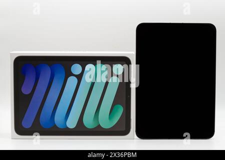 IPad Mini di Apple Inc. Isolato su sfondo bianco. Foto Stock