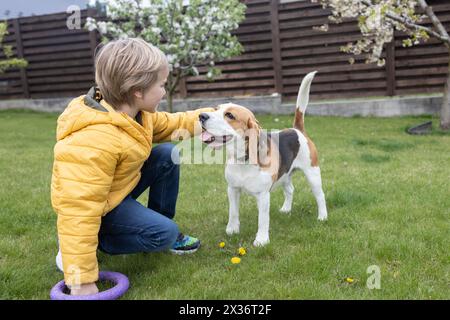 il ragazzo gioca con il suo animale domestico, un cane beagle, nel giardino. concetto di allenamento per cani Foto Stock