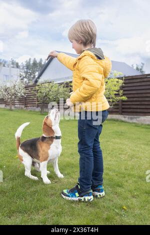 ragazzo in passeggiata con il suo cane beagle, insegnandogli i comandi. Foto Stock