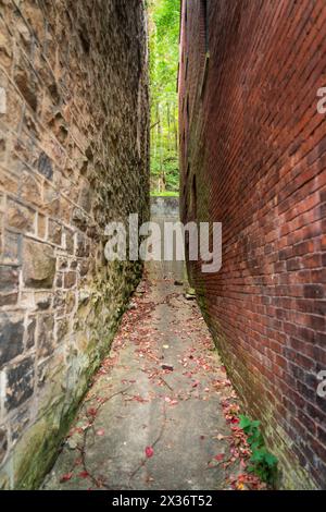 Un vicolo stretto si estende tra un muro di pietra ruvido e un muro di mattoni rossi, cosparso di foglie a Thurmond, New River Gorge National Park, Virginia Occidentale. Foto Stock