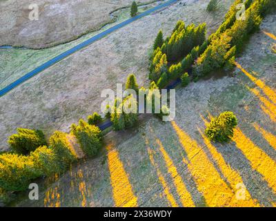 Una vista a volo d'uccello di una fitta foresta con una strada che la attraversa, sotto un tramonto che getta lunghe ombre sulle montagne di Krusne. Cechia Foto Stock