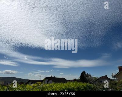 Schaefchenwolken, Cirrocumulus undulatus kuendigen Regen An. Nuvole voluminose, Cirrocumulus undulatus, pioggia di araldo Schaefchenwolken, Cirrocumulus, undula Foto Stock