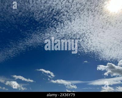 Schaefchenwolken, Cirrocumulus undulatus kuendigen Regen An. Nuvole voluminose, Cirrocumulus undulatus, pioggia di araldo Schaefchenwolken, Cirrocumulus, undula Foto Stock