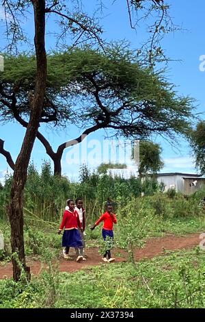 Kimana, Kenya. 25 aprile 2024. I bambini dei Maasai vanno a scuola con le uniformi scolastiche. Anche i bambini delle scuole primarie spesso camminano fino a dieci chilometri. Sulla strada per la scuola, possono incontrare animali selvatici, tra cui elefanti, leoni e iene. I Maasai, probabilmente il gruppo etnico più conosciuto dell'Africa orientale, sono un gruppo etnico dell'Africa orientale che vive nel Kenya meridionale e nella Tanzania settentrionale. Crediti: Eva-Maria Krafczyk/dpa/Alamy Live News Foto Stock