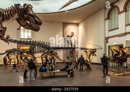 Visitatori del Museo di storia naturale Senckenberg, Francoforte, Germania Foto Stock