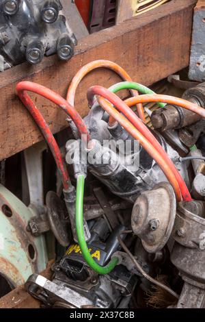 "Crash Palace", Horopito, Waimarino, North Island, nuova Zelanda Foto Stock