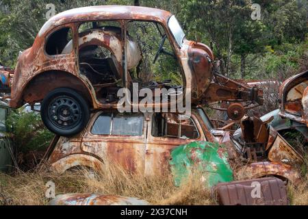 Veicoli abbandonati al cantiere di rottamazione "Crash Palace", Horopito, Waimarino, North Island, nuova Zelanda Foto Stock