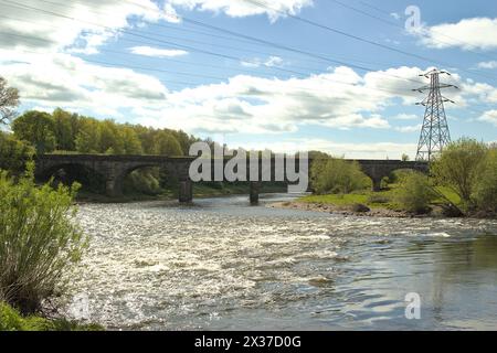 Viadotto di Waverley, ponte ferroviario in disuso e sovrastato sul fiume Eden a Engine Lonning, Carlisle, Cumbria, Regno Unito Foto Stock