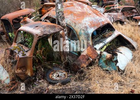 Veicoli abbandonati al cantiere di rottamazione "Crash Palace", Horopito, Waimarino, North Island, nuova Zelanda Foto Stock