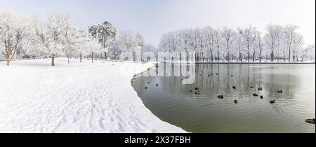 Panorama di un parco innevato in inverno con alberi ghiacciati, uno stagno e anatre sotto un cielo soffice. Scena di paesaggio stagionale freddo. Natura scenografica, tranquilla natura esterna bianca e calma Foto Stock