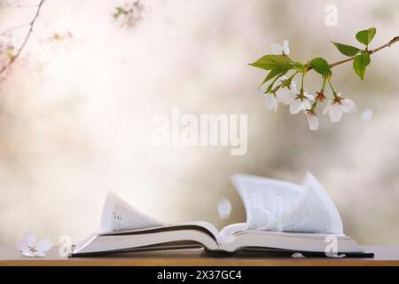 Petali di fiori che soffiano nel vento primaverile, alberi di ciliegio bianchi in fiore, la Santa Bibbia, la religione e il contesto religioso Foto Stock