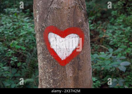 Segnavia a forma di cuore bianco e rosso lungo il sentiero che porta alla sorgente del fiume Gradac, Serbia Foto Stock