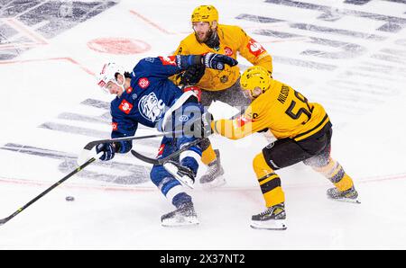 Die beiden Skelleftea Verteidiger #8 Petter Granberg und #58 Oscar Nilsson nehmen den Zürcher #42 Alexandre Texier in Die Mangel. (Zürich, Schweiz, 22 Foto Stock