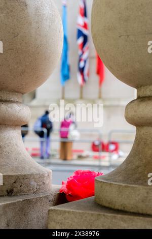 Cenotaph, Whitehall, Londra, Regno Unito. 25 aprile 2024. Le corone del giorno dell'Anzac posero al Cenotaph di Londra. Crediti: Matthew Chattle/Alamy Live News Foto Stock