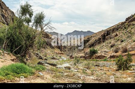 Affacciato su un arido ed effimero affluente del fiume Orange con nuvole Foto Stock