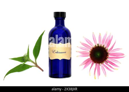Echinacea tintura medicinale per tosse raffreddori e bronchite rimedio con bottiglia, testa di fiore e ciuffo di foglie su sfondo bianco. Alternativa naturale h Foto Stock