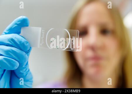 Citologia, Patologia anatomico, Ospedale Donostia, San Sebastian, Gipuzkoa, Paesi Baschi Foto Stock