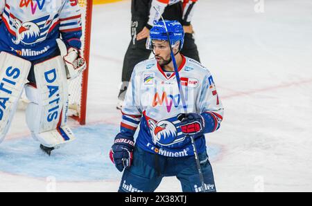 Adler Mannheim Verteidiger #7 Sinan Akdag während dem Testspiel gegen den EV Zug. (Zugo, Schweiz, 20.08.2022) Foto Stock