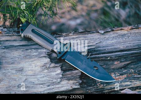 Ceppo di coltelli da caccia nella foresta. coltello da caccia Foto Stock
