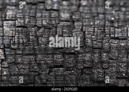 Primo piano della struttura in legno bruciato nero. Sfondo astratto e trama per il design Foto Stock