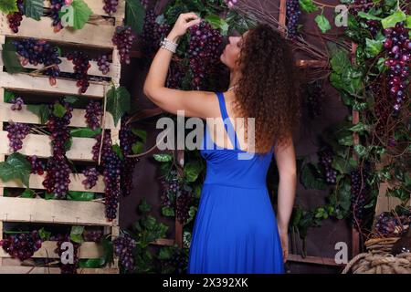 Donna in abito blu cerca di vigne vicino a scatole di legno in studio Foto Stock