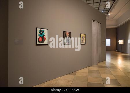 Monaco, Germania. 25 aprile 2024. Liliane Lijn. Alzati vivo alla Haus der Kunst di Monaco, Germania, il 25 aprile 2024. (Foto di Alexander Pohl/Sipa USA) credito: SIPA USA/Alamy Live News Foto Stock