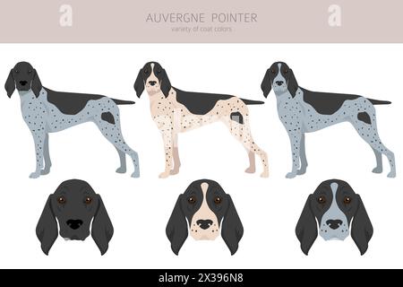 Clipart puntatore Auvergne. Pose diverse, set di colori di rivestimento. Illustrazione vettoriale Illustrazione Vettoriale