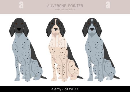 Clipart puntatore Auvergne. Pose diverse, set di colori di rivestimento. Illustrazione vettoriale Illustrazione Vettoriale