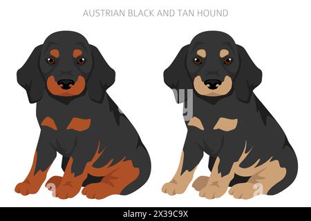 Cucciolo austriaco nero e marrone. Pose diverse, set di colori per cappotti. illustrazione vettoriale Illustrazione Vettoriale