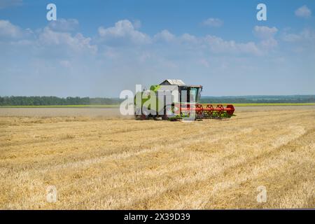 REGIONE DI KRASNODAR, RUSSIA - JUL 7, 2015: Mietitrice verde su campo di grano giallo, nel 2015 nella regione di Krasnodar hanno raccolto record di raccolto di grano - 102 m. Foto Stock