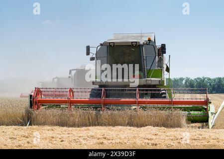 REGIONE DI KRASNODAR, RUSSIA - JUL 7, 2015: Le grandi raccoglitrici raccolgono campi di grano giallo, nel 2015 nella regione di Krasnodar hanno raccolto record di raccolto di grano - 1 Foto Stock