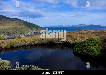 Una piscina di acqua dolce a Cape Horn con vista ne. Il capo fu scoperto nel 1616 dal navigatore Willem Schouten, capitano dell'"Eendracht" Foto Stock