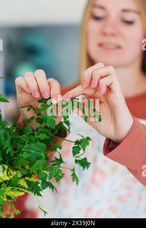 una ragazza in cucina si toglie una foglia di prezzemolo e aneto Foto Stock