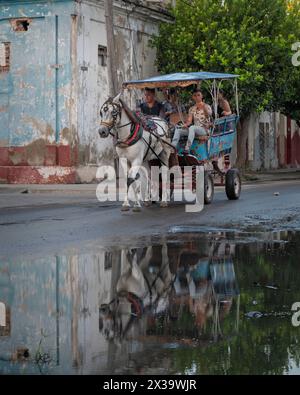 Cavalli e carri che forniscono un servizio taxi locale attraverso le strade di Cienfuegos, Cuba, riflettendo in una grande pozzanghera all'angolo di una strada. Foto Stock