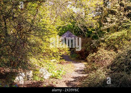 I giardini botanici della University of Dundee offrono splendide viste su piante, alberi e fiori di fama mondiale durante la stagione primaverile in Scozia Foto Stock