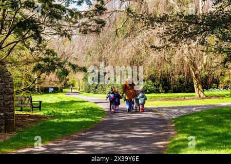 I giardini botanici della University of Dundee offrono splendide viste su piante, alberi e fiori di fama mondiale durante la stagione primaverile in Scozia Foto Stock