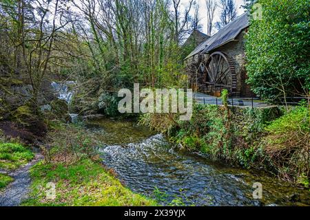 Cascata sull'Afon Einion, presso Dyfi Furnace a Ceredigion, Galles. Galles. REGNO UNITO Foto Stock