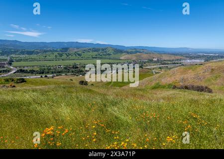 Coyote Ride Open Space Foto Stock