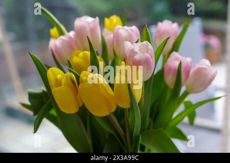 Bouquet di tulipani rosa e gialli sul davanzale Foto Stock