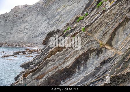 Strati fortemente inclinati di Flysch, scogliere di Flysch, Costa Basca UNESCO Global Geopark, European Geopark Network, Zumaia, Guipúzcoa, Paesi Baschi, Spagna Foto Stock