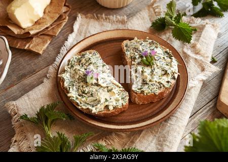 Due fette di pane con burro di ortica - spalmabile fatto in casa fatto di piante commestibili selvatiche raccolte in primavera Foto Stock