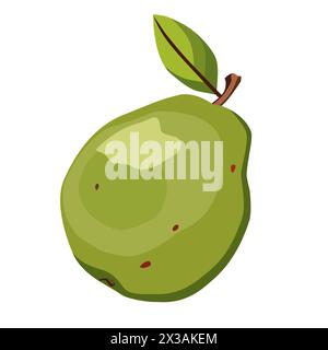 guava verde succosa e sana con foglia verde. Illustrazione vettoriale isolata su sfondo bianco. Frutta estiva per disegno piatto di carte, striscioni, volantini, Illustrazione Vettoriale