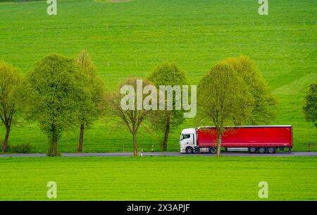 LKW auf einer Landstraße, Grüne Felder, Wiesen, Bäume säumen die 2-spurige Straße, Frühjahr, bei Schwelm, NRW, Deutschland, Landstraße *** autocarro su strada di campagna, prati verdi, prati, alberi lungo la strada a 2 corsie, primavera, vicino a Schwelm, NRW, Germania, strada di campagna Foto Stock