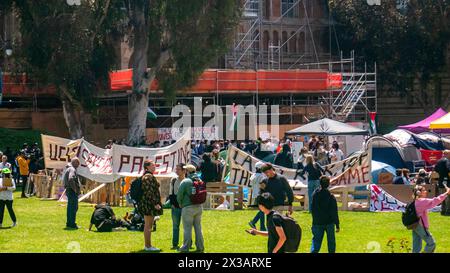 Los Angeles, Stati Uniti. 25 aprile 2024. Un accampamento di protesta contro la guerra a Gaza istituito sul Royce Quad nel campus dell'UCLA, l'Università di CA Foto Stock